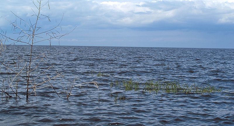 The Lake Okeechobee area