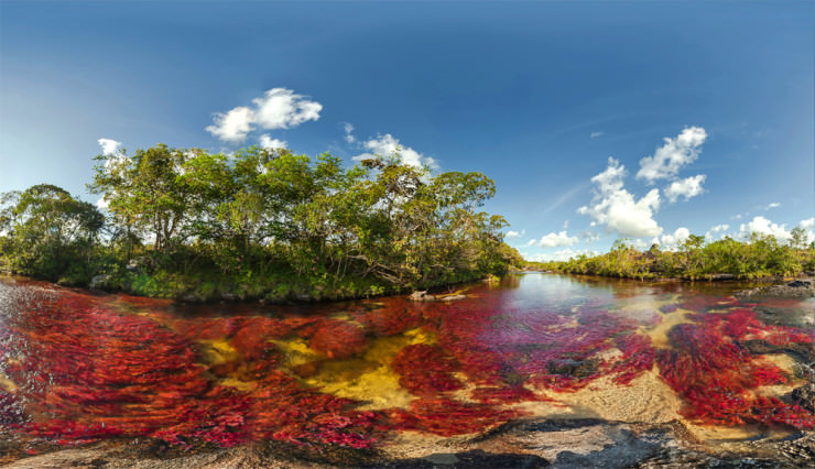 The Liquid Rainbow