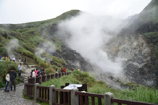 Yangmingshan flowers