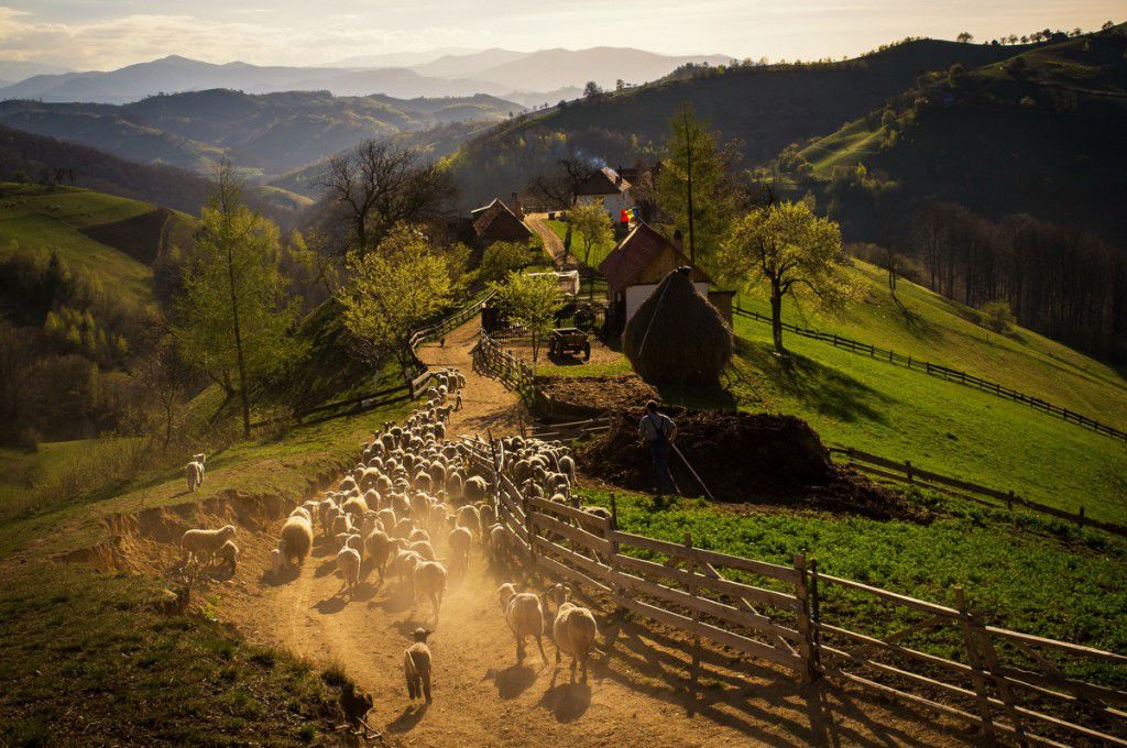 Hills of Holbav Village