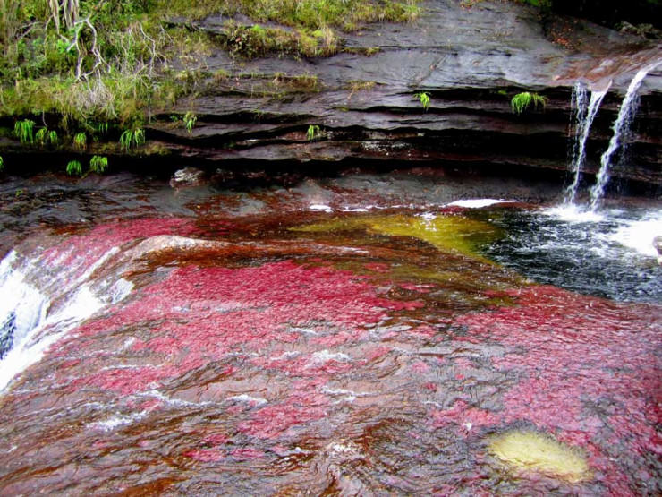 The Serranía de la Macarena