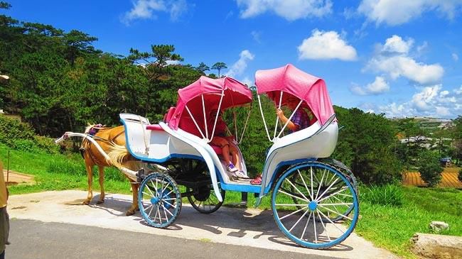 The tracks lead to Vong Canh Hill