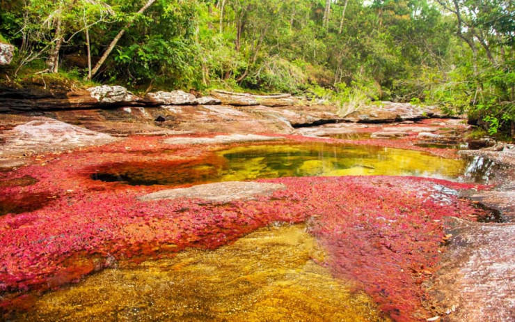 The water of the river