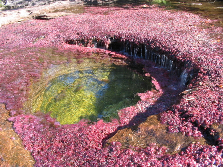 color river