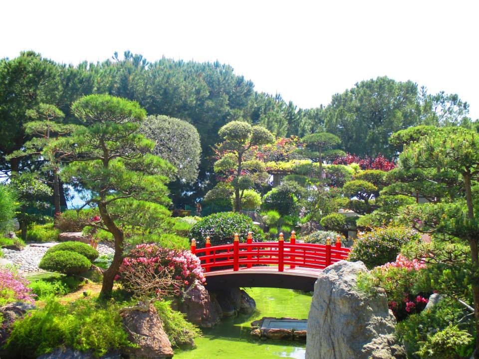 garden