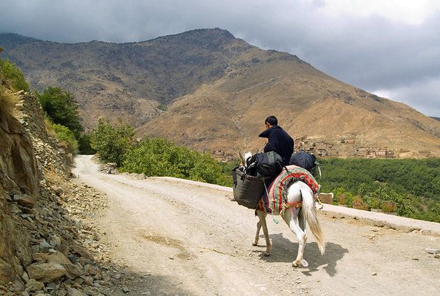 Toubkal National