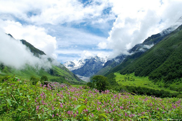 Valley of Flowers Natonal Park