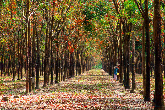 Vietnam