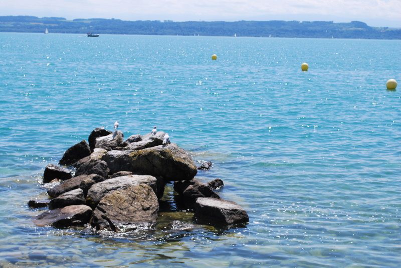 View of Lake Neuchâtel