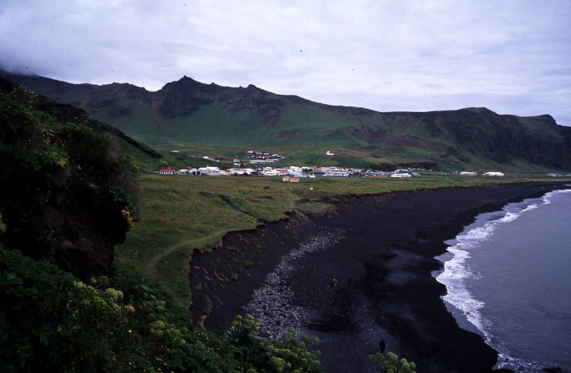 Vik Beach