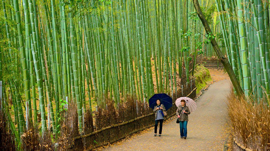 Visiting Kyoto teaches