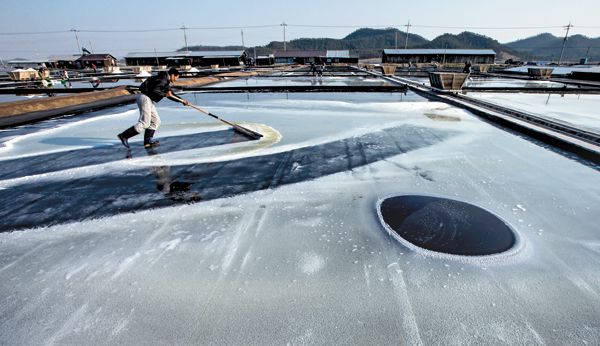 sun-dried salt fields