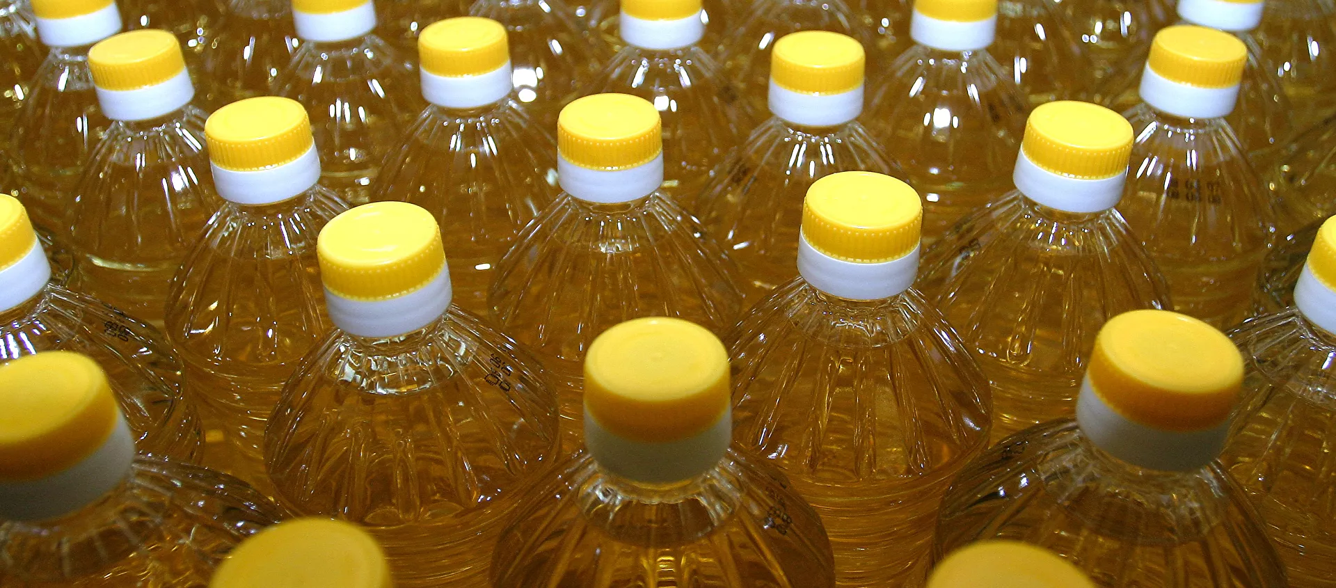 الزيت - سبوتنيك عربي, 1920, 27.05.2021