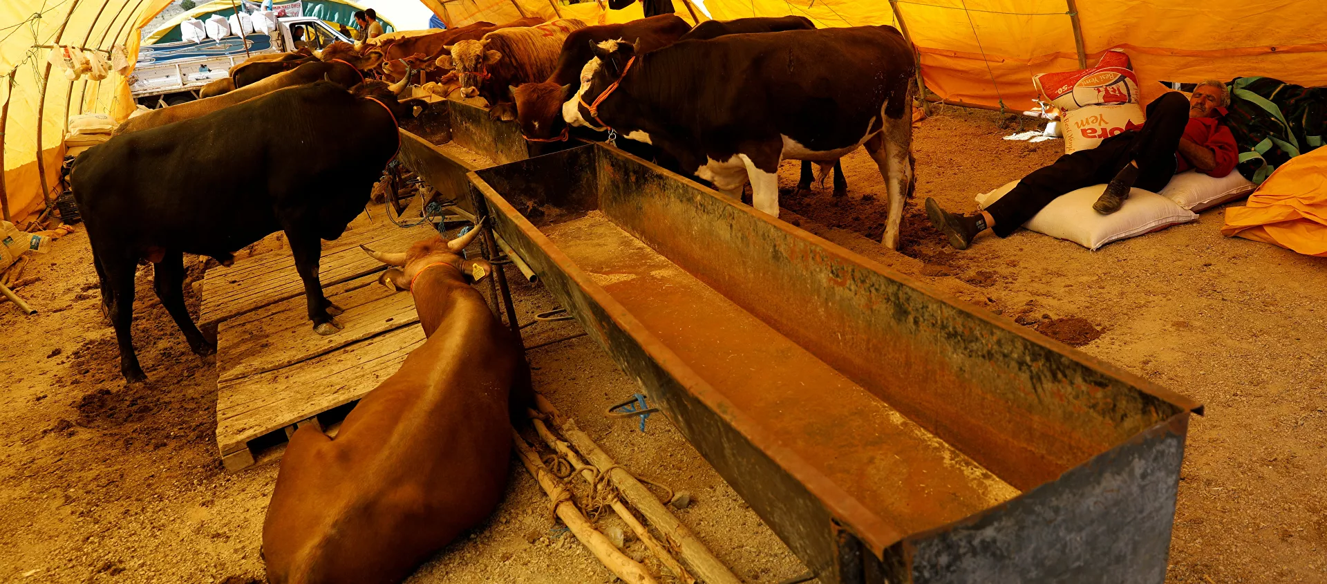 عيد الأضحى - سبوتنيك عربي, 1920, 09.07.2021