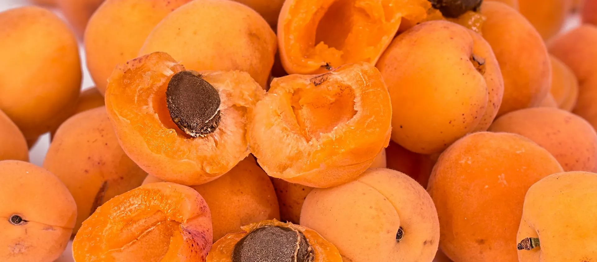 مشمش - سبوتنيك عربي, 1920, 24.05.2021