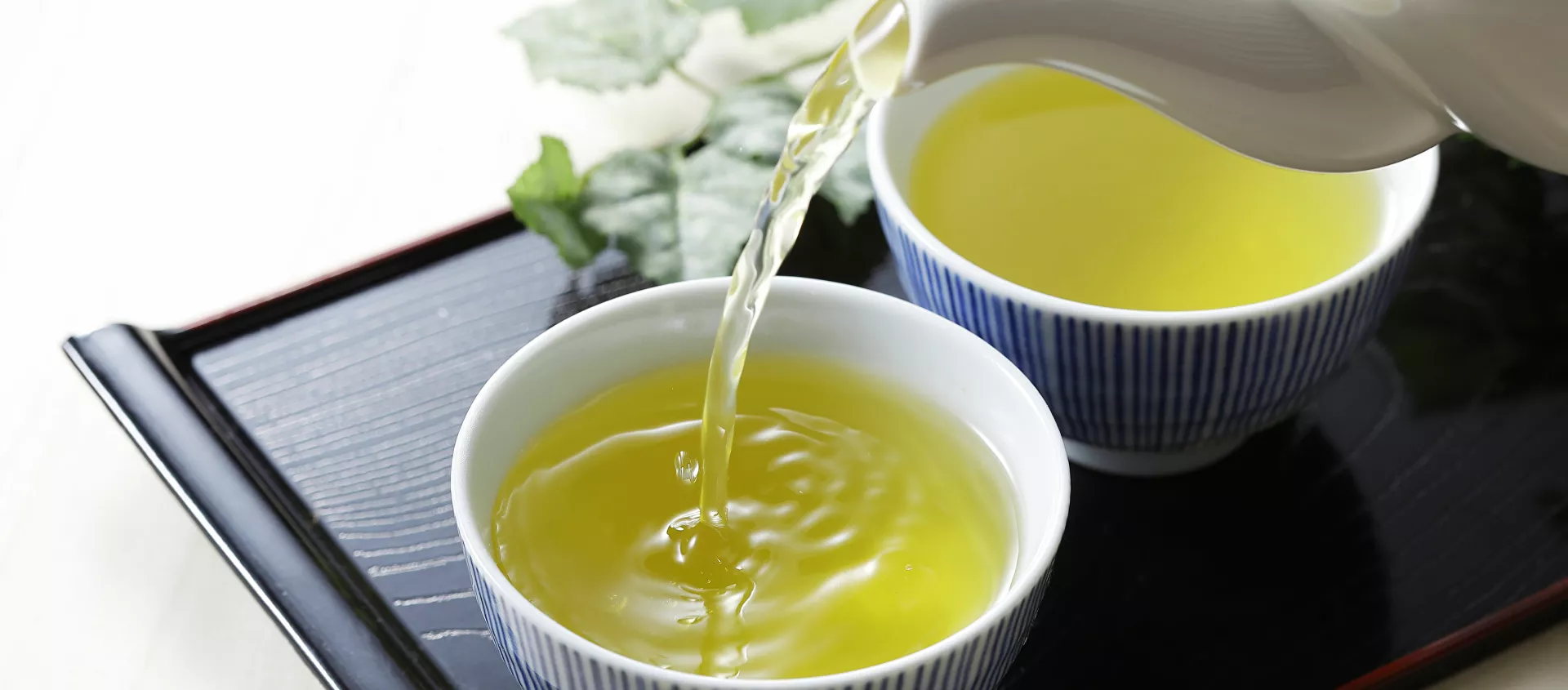 الشاي الأخضر - سبوتنيك عربي, 1920, 25.05.2021