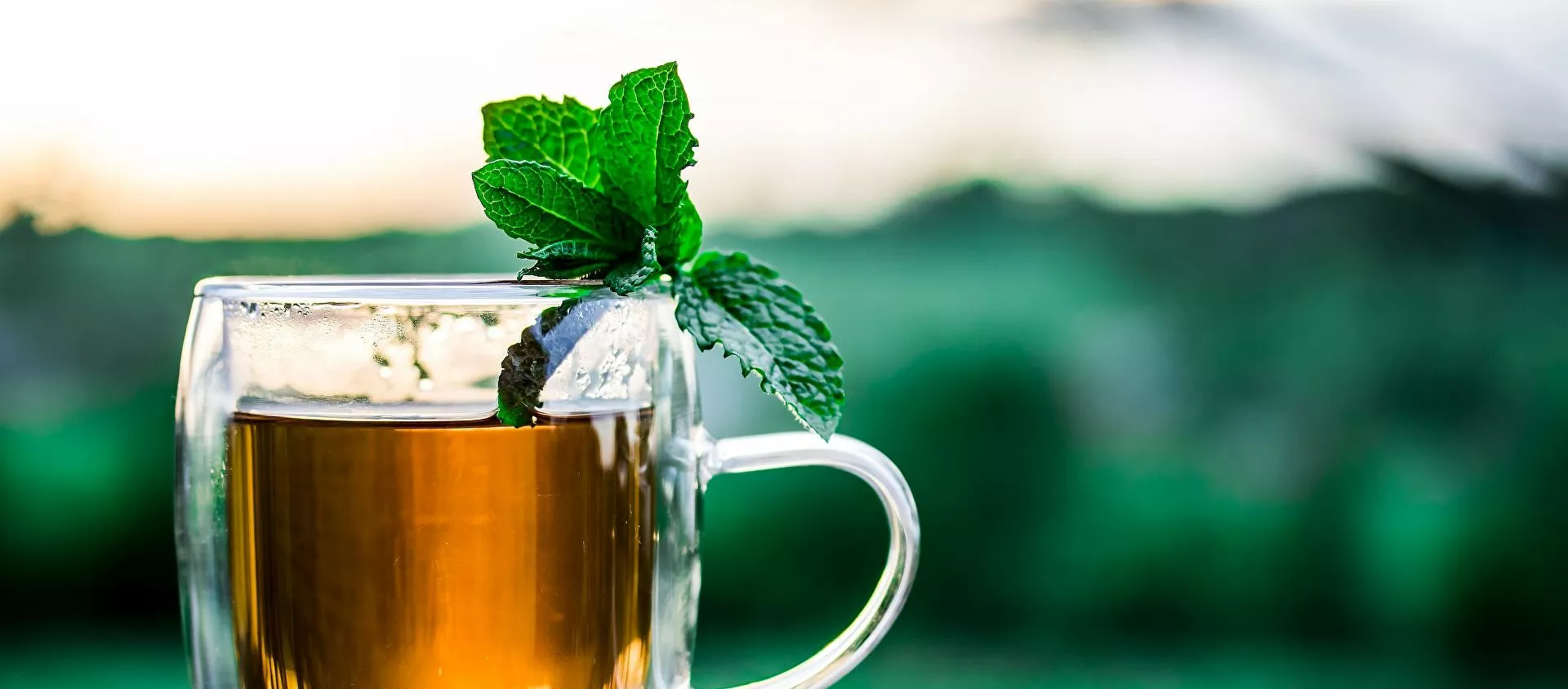 شاي بالنعناع - سبوتنيك عربي, 1920, 22.05.2021