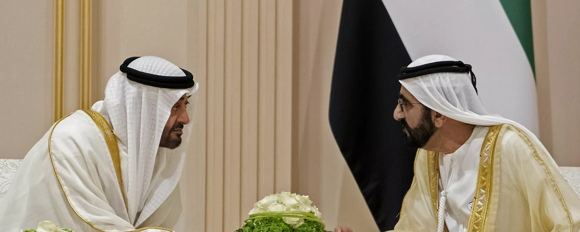 محمد بن راشد آل مكتوم مع محمد بن زايد آل نهيان - سبوتنيك عربي, 1920, 16.07.2020