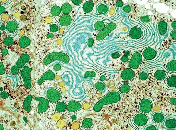 1_illaftrain_ef79ff86e76559628b0c7cdf33395f8d6188b97c_d7ab85b547916585a9906dff66ac5d08