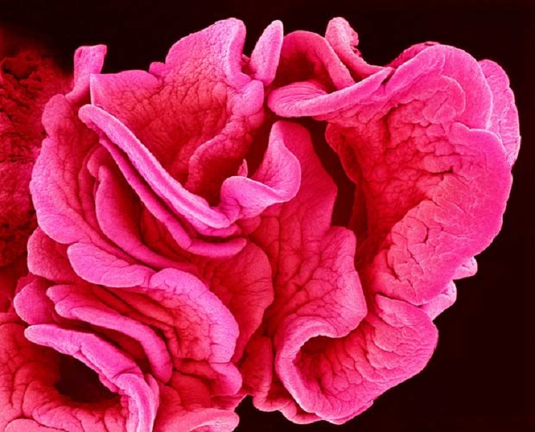 4_illaftrain_0afa5a77be0f20570dd7e97134b1e6d0c2ec92dc_c48167aa231bd56d9d39b5e061e0cd01