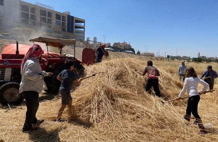 "خبز بلادنا".. كيف يسعى أردنيون "للتحرر الغذائي" (شاهد)