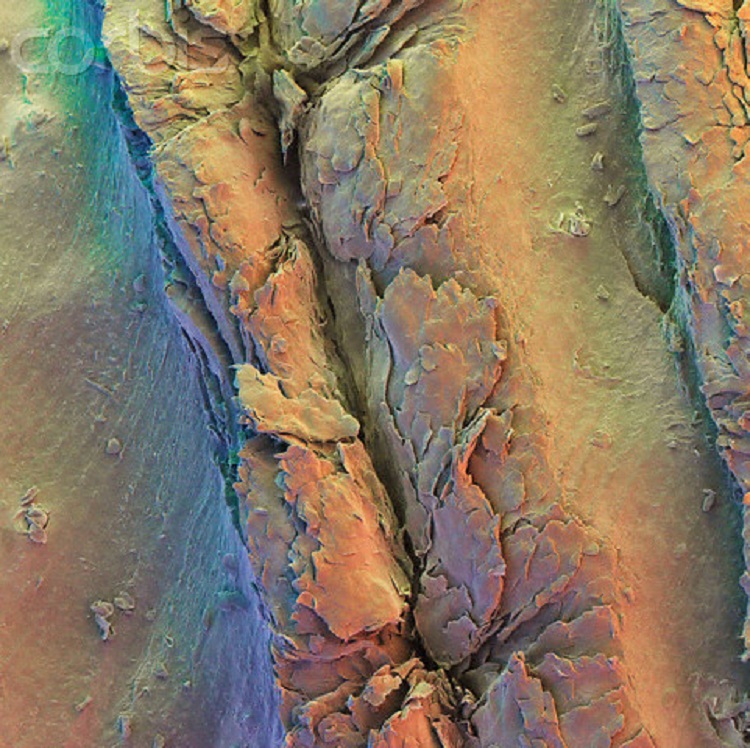 9_illaftrain_42cb267e963ee3a8edd48d4e001ad4e002dd7868_c37e412bf63198e1dce80abad15ca23c