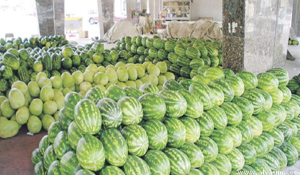 d8a7d984d8afd984d8a7d8ad-2 فيديو.. المجلس الإقليمي لزاكورة يرفع ملتمس الوقف المؤقت لزراعة الدلاح