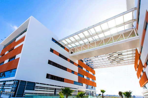 d8acd8a7d985d8b9d8a9-d985d8add985d8af-d8a7d984d8b3d8a7d8afd8b3-1