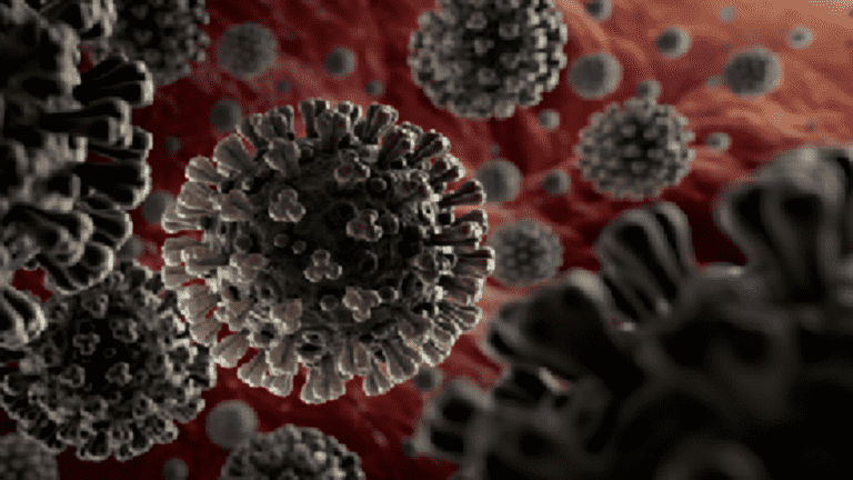 مسؤولون صينيون يعلنون انتشار مرض جديد