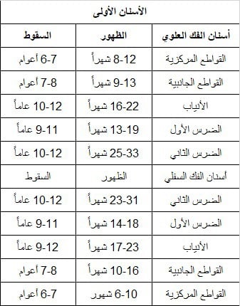 جدول الأسنان الأولى جدول الأسنان الأولى