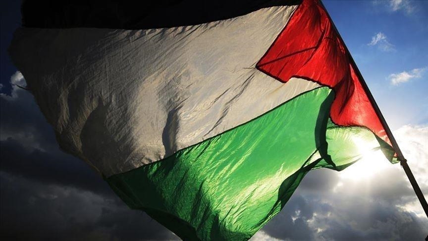 تعيين 3 أعضاء بلجنة تحقيق أممية في فلسطين المحتلة