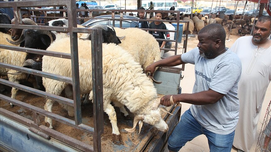 المصاعب الاقتصادية تحرم ليبيين من شراء الأضاحي