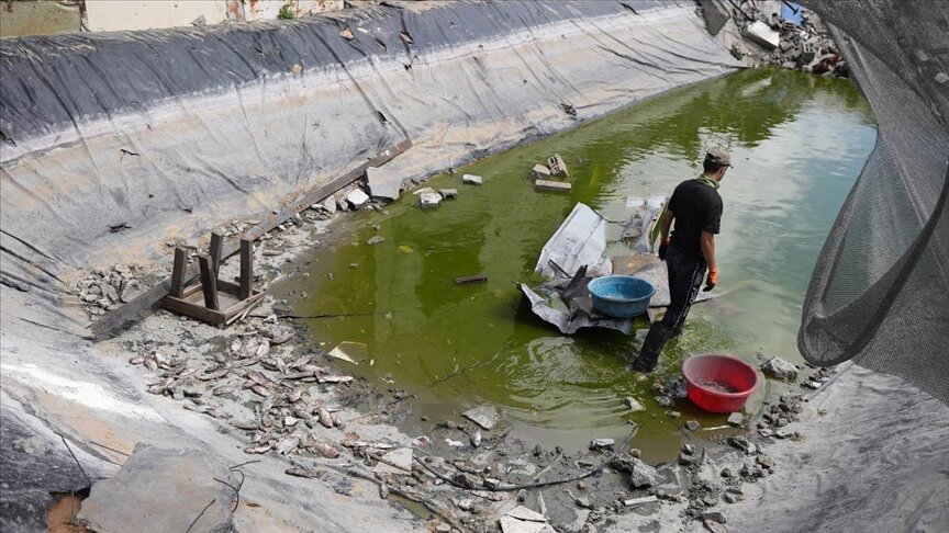 حتى الأسماك لم تسلم من عدوان إسرائيل على غزة (تقرير)