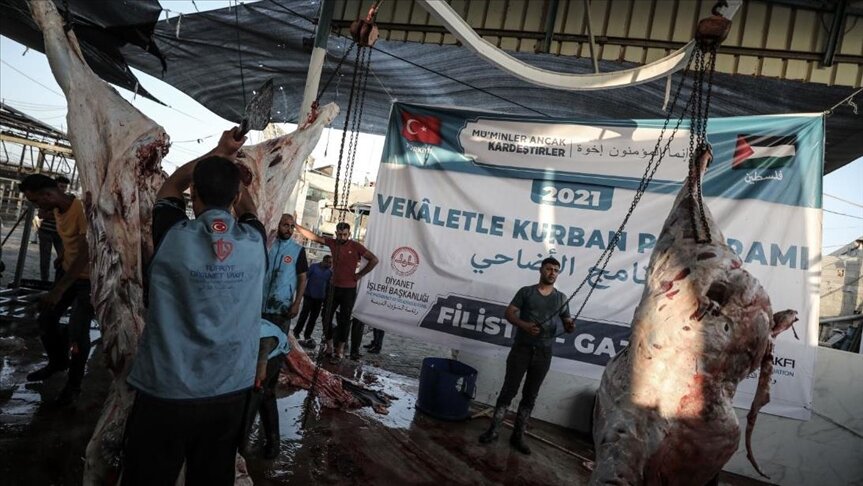 بتمويل تركي.. أوقاف غزة توزع لحوم أضاحي على الآلاف