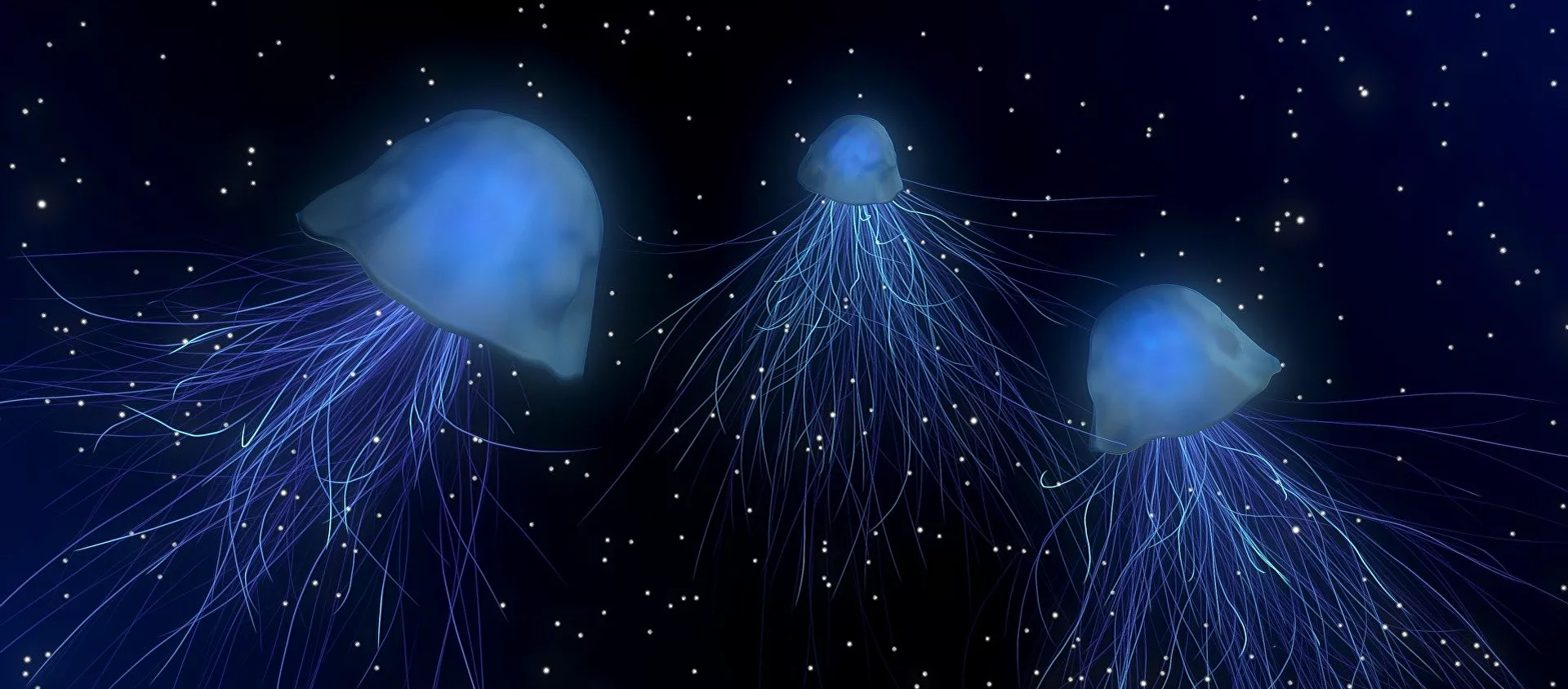 قنديل البحر - سبوتنيك عربي, 1920, 28.03.2021