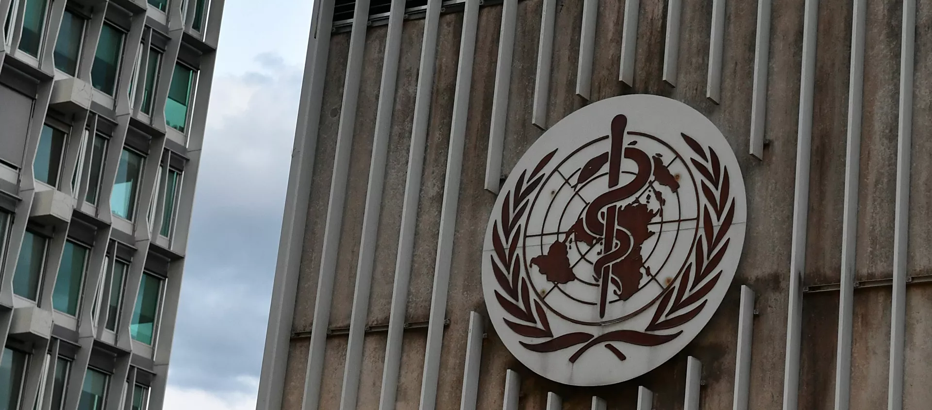 منظمة الصحة العالمية أغسطس/ آب 2020 - سبوتنيك عربي, 1920, 13.07.2021