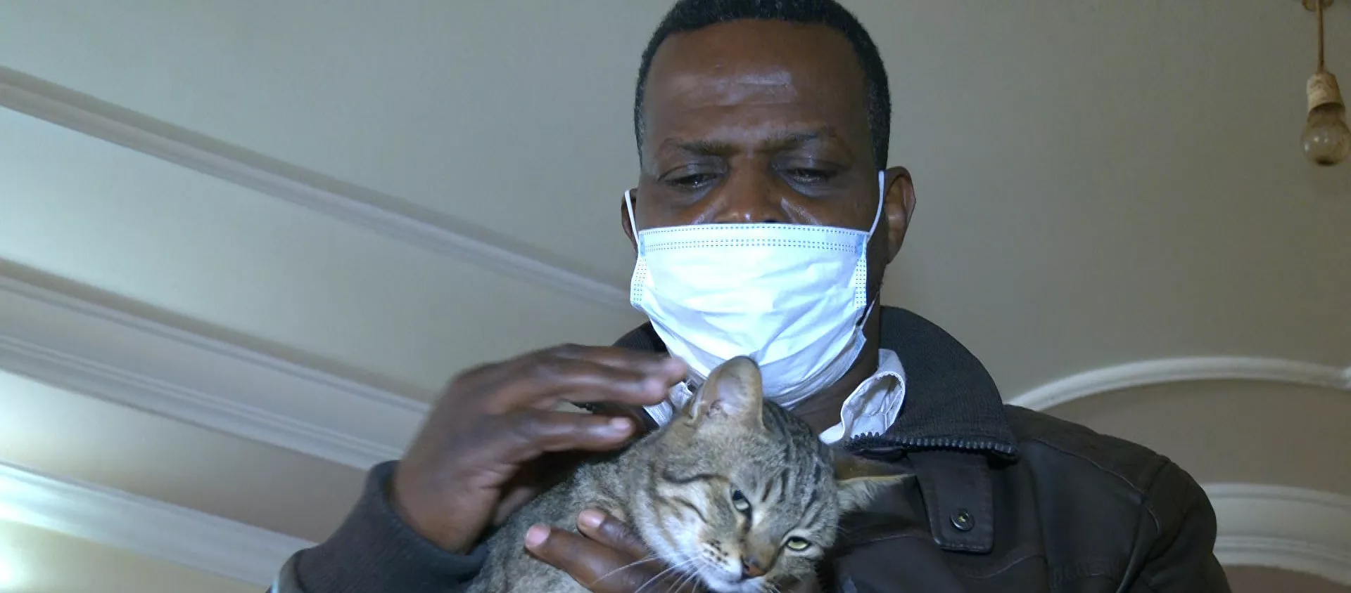 فلسطيني ينقذ الحيوانات الضالة ويعيش مع عشرات القطط - سبوتنيك عربي, 1920, 18.02.2021