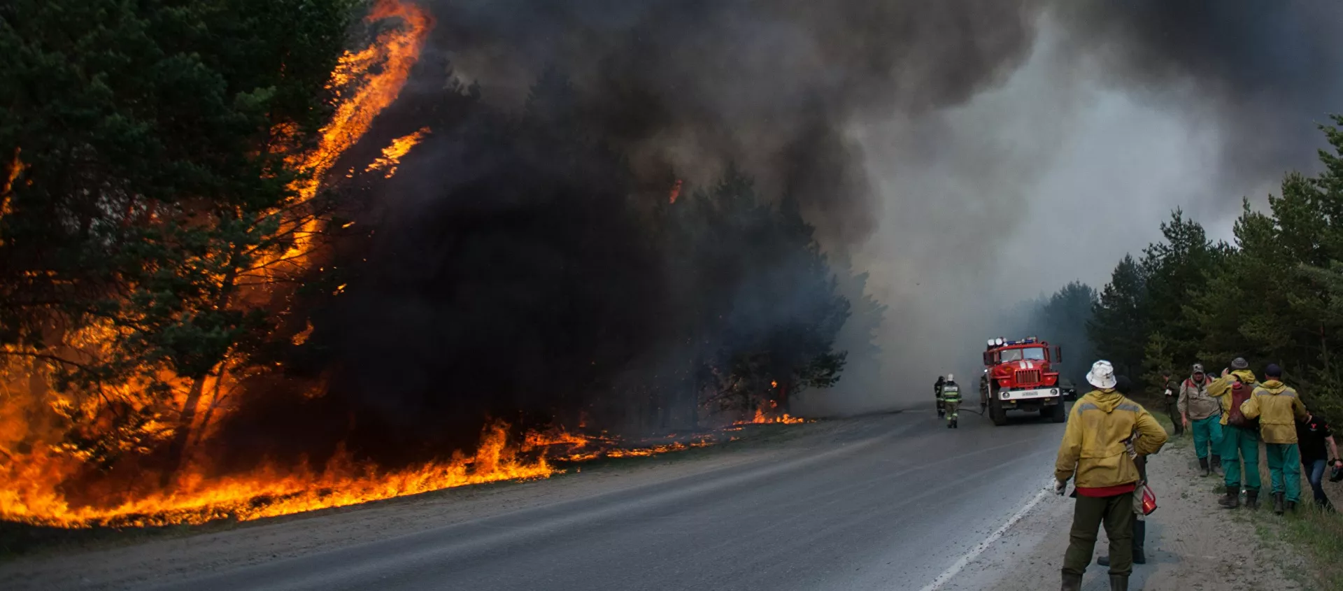 حرائق الغابات في منطقة تيومين، روسيا 15مايو 2021 - سبوتنيك عربي, 1920, 30.06.2021