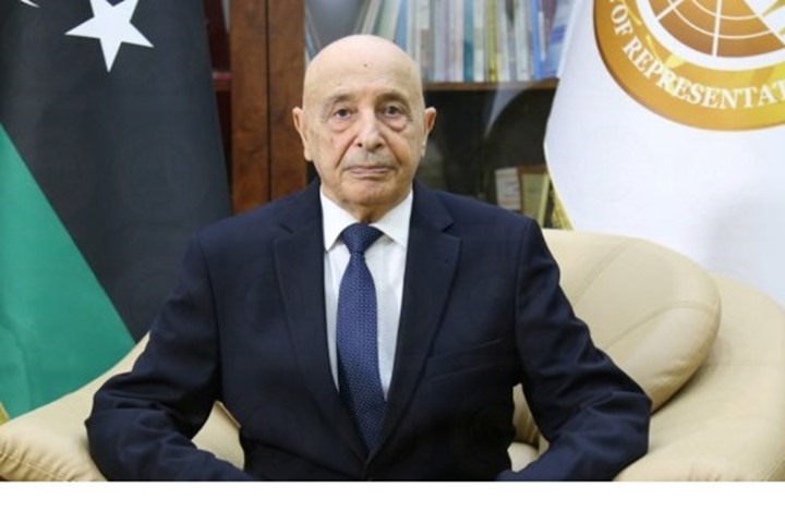 عقيلة: سنسلم السلطة لمجلس نواب جديد حال انتخابه (شاهد)