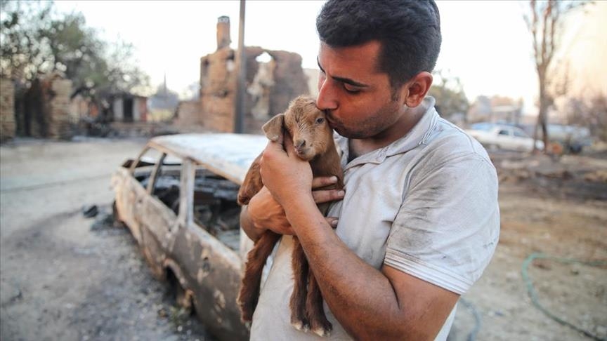 ألمانيا.."الديمقراطيون الدوليون" يطلق تبرعات لصالح ضحايا حرائق تركيا