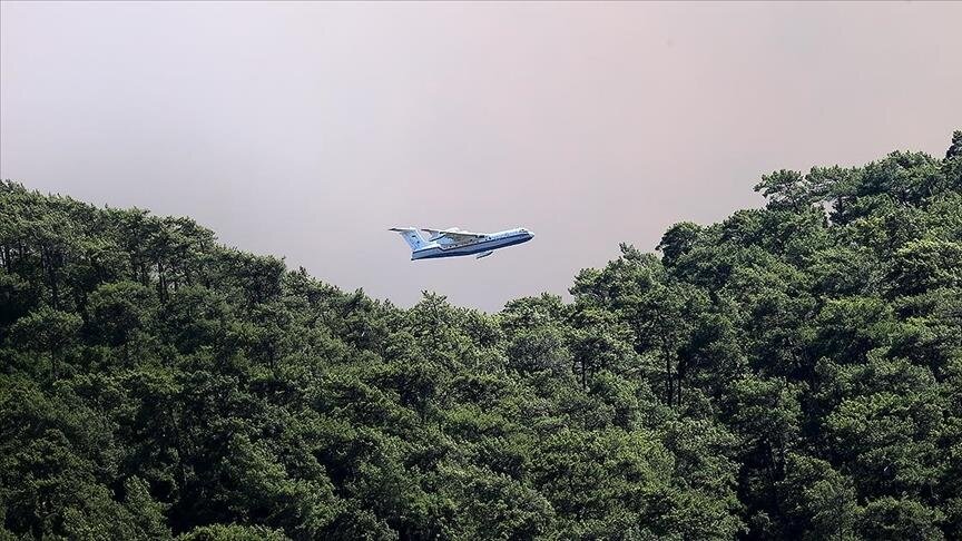 عقب الحريق.. كازاخستان تعرض إنشاء "غابة الصداقة" في مانافغات التركية