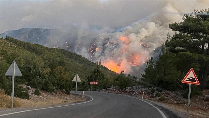 الأردن يعزي تركيا بضحايا حرائق الغابات