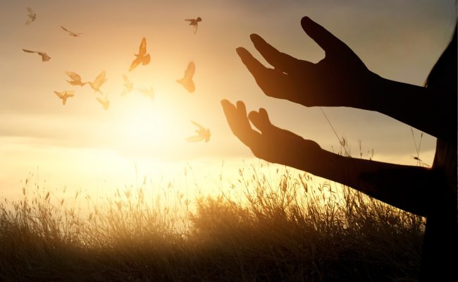 الاعتماد على الله في جميع الامور الدينيه والدنيويه تعريف