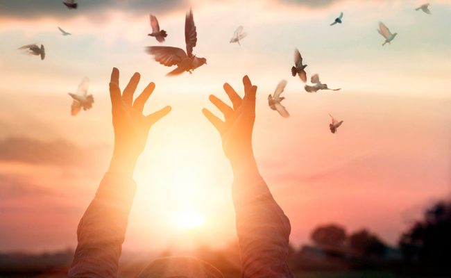 الرد على بيض الله وجهك