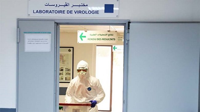 d985d8aed8aad8a8d8b1-d983d988d8b1d988d986d8a7-d8aad8add984d98ad984-d8aad8add8a7d984d98ad984-1