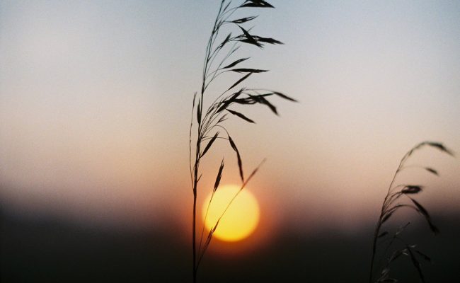 من هو الصحابي الذي غسلته الملائكة