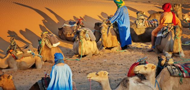 معلومات عن قبائل الأطلس المتوسط الأمازيغية معلومات عن قبائل الأطلس المتوسط الأمازيغية