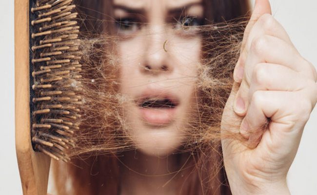 هل عشبة الاس تسبب تساقط الشعر