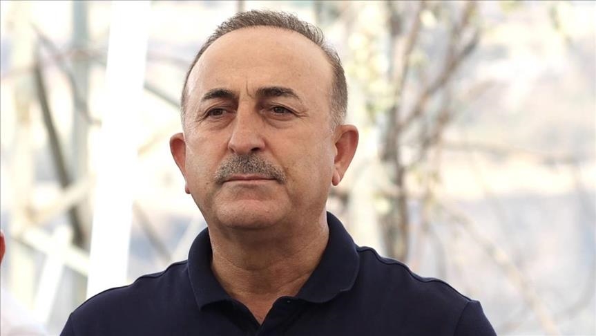 تشاووش أوغلو يعزي نظيره الجزائري في ضحايا حرائق الغابات