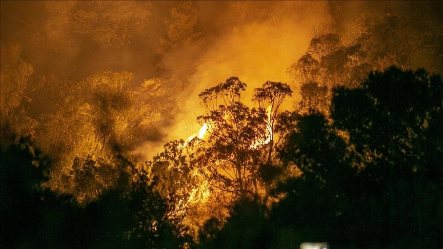 مسؤول تونسي: حرائق القصرين لم تعد خطرا على السكان